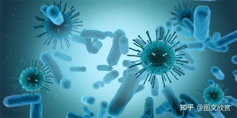 猴痘已在欧洲发生大规模社区传播:猴痘病毒和猴b病毒的关系