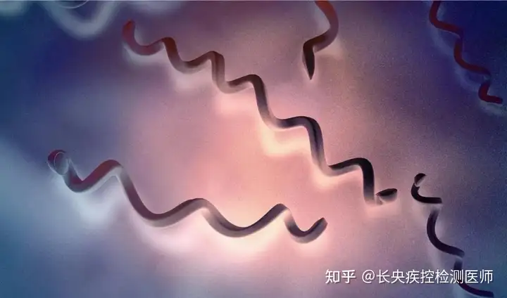 和感染者聊天被感染:和感染者聊天被感染怎么办